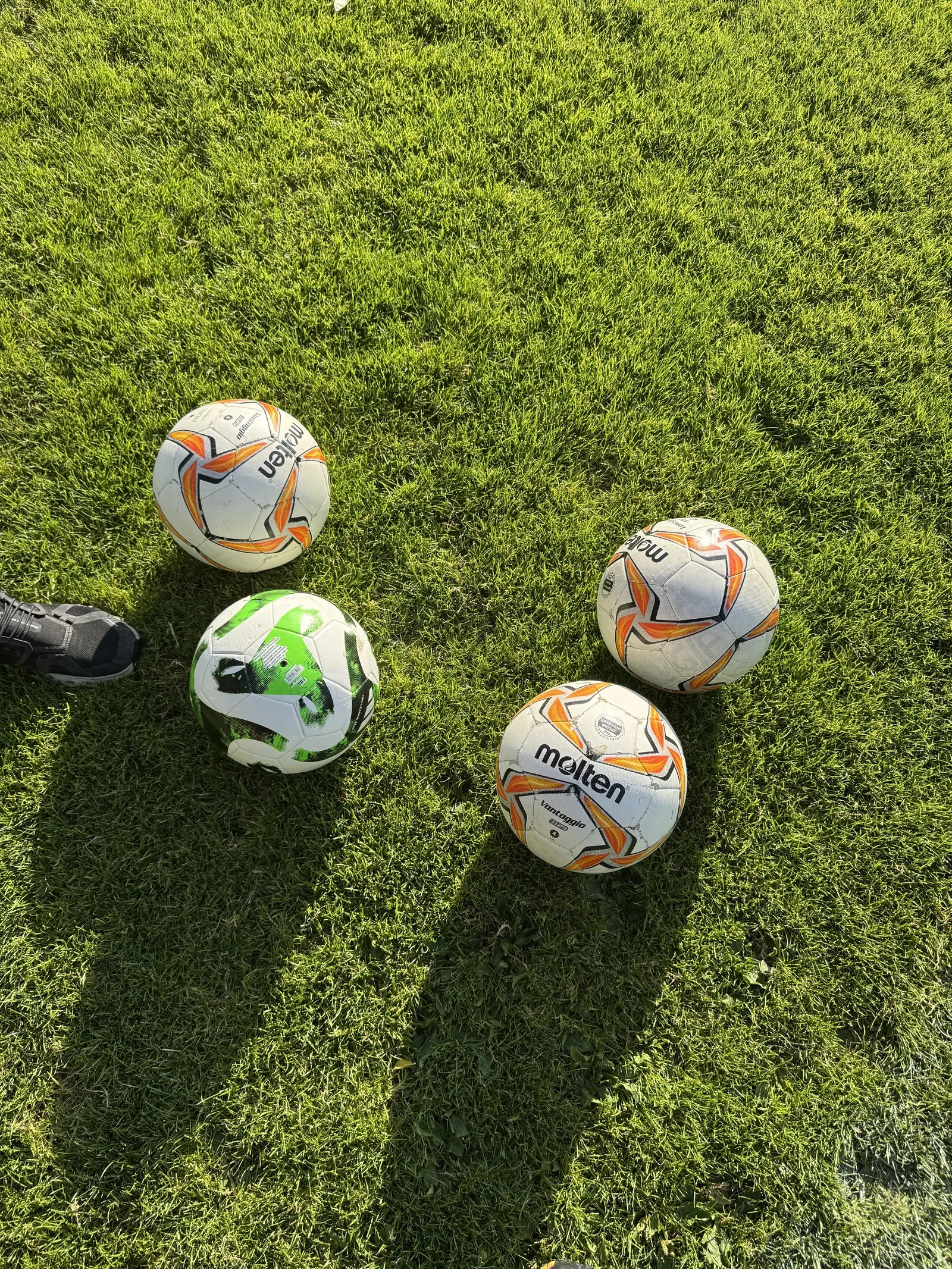 Vier Fußbälle im Gras, drei helle und ein grüner mit dem Aufdruck Tiro League